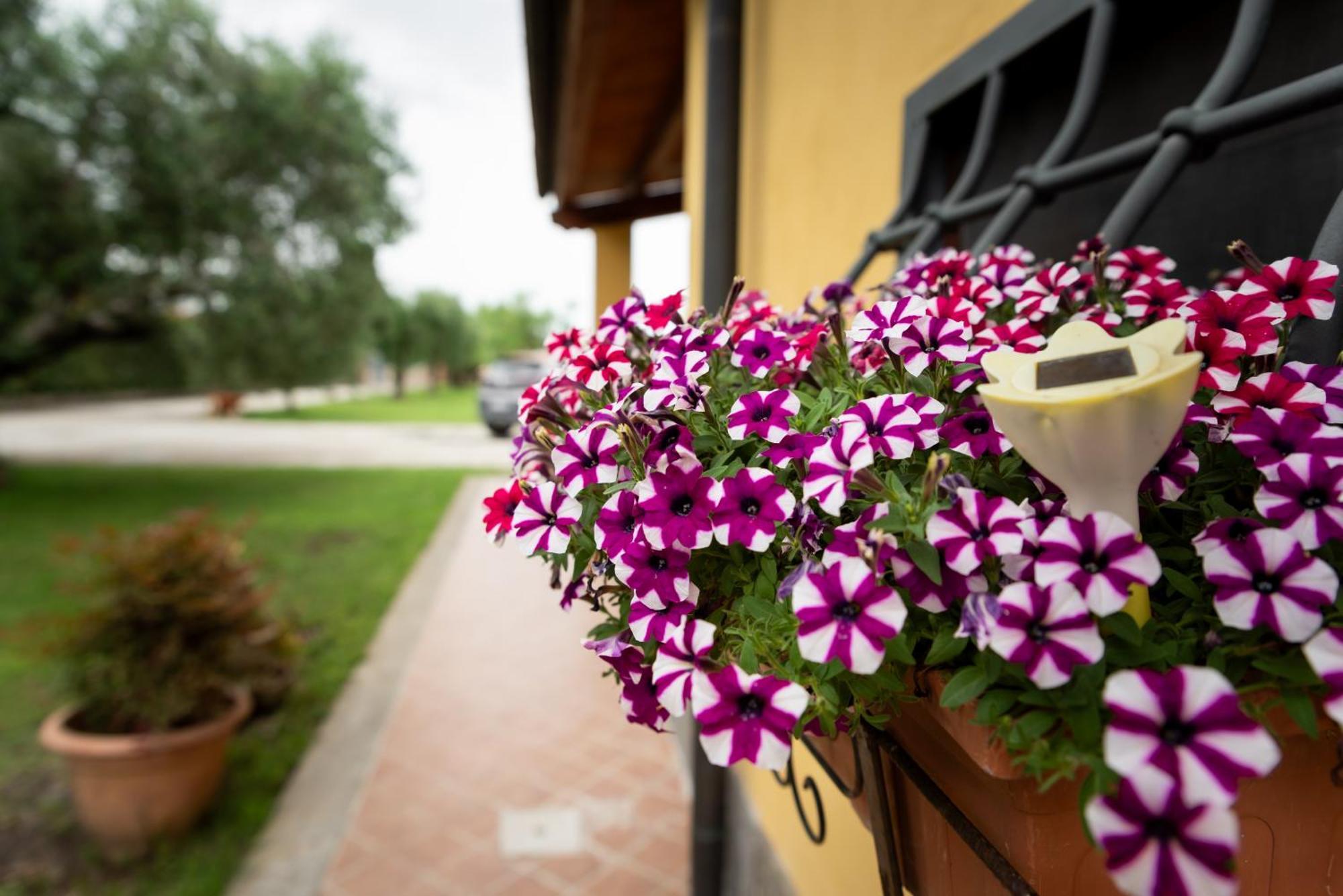Hotel L'Antico Vigneto Marino Exterior foto