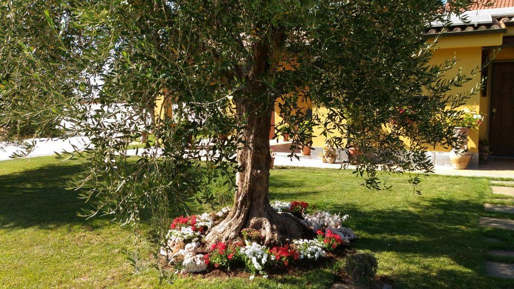 Hotel L'Antico Vigneto Marino Exterior foto